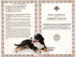 Pedigree del tuo cane